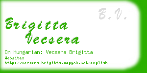 brigitta vecsera business card